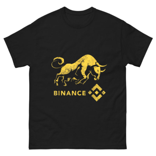 BINANCE Crypto BULLRUN HODL Shirt