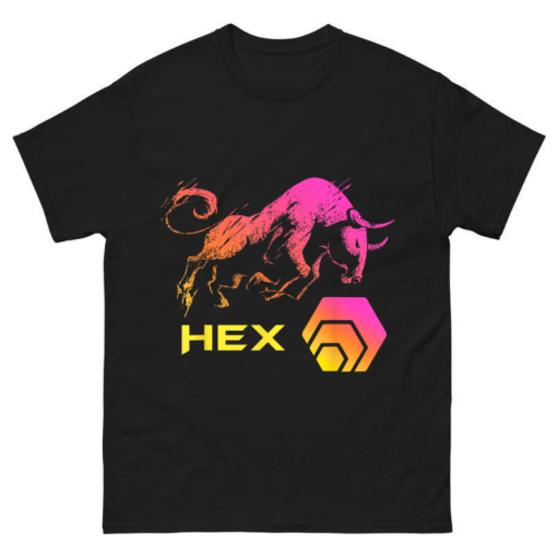 HEX Crypto BULLRUN HODL Shirt