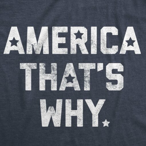 America That’s Why Men’s Tshirt