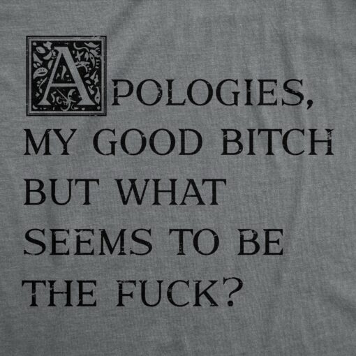 Mens Apologies My Good Bitch But What Seems To Be The Fuck T Shirt Funny Joke Tee For Guys