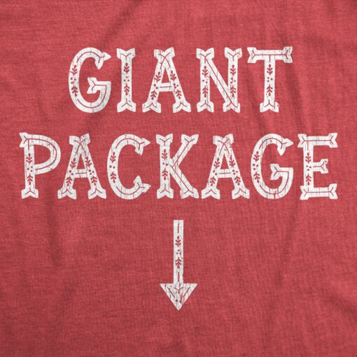 Mens Giant Package Tshirt Funny Christmas Party Sarcastic Dick Joke Novelty Tee