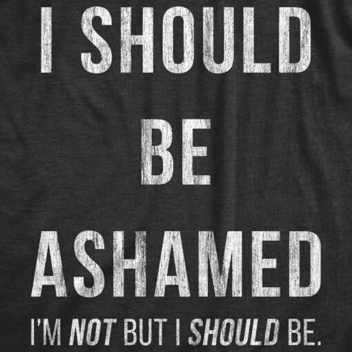 Mens I Should Be Ashamed Tshirt Funny Sarcastic Shame Novelty Graphic Tee For Guys