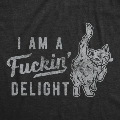 Mens Im A Fucking Delight T shirt Funny Offensive Saying Hilarious Tee