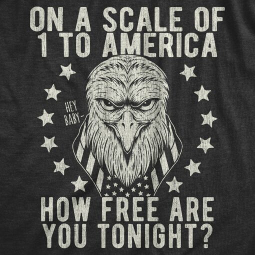 Mens On A Scale Of 1 To America How Free Are You Tonight Tshirt Funny Pick Up Line Tee
