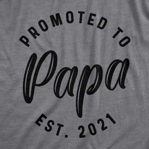 Promoted To Papa 2021 Men’s Tshirt