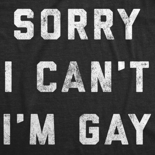 Sorry I Can’t I’m Gay Men’s Tshirt