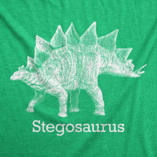 Stegosaurus Men’s Tshirt