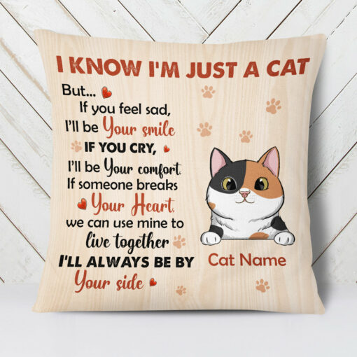 Personalized Cat Always By Your Side Pillow