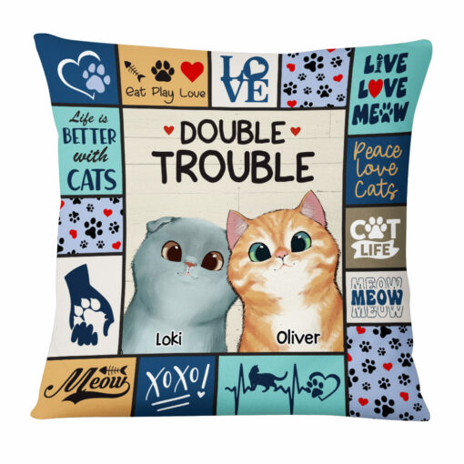 Personalized Cat Double Trouble Pillow 23147_2994