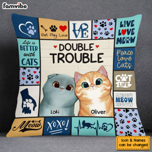 Personalized Cat Double Trouble Pillow 23147_2994