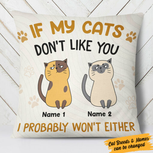 Personalized Cat Funny Pillow