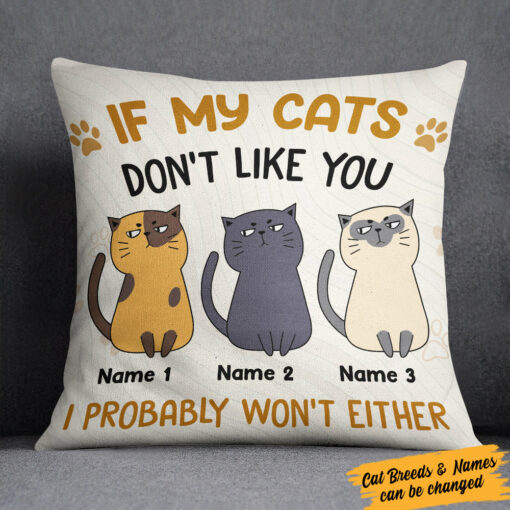 Personalized Cat Funny Pillow