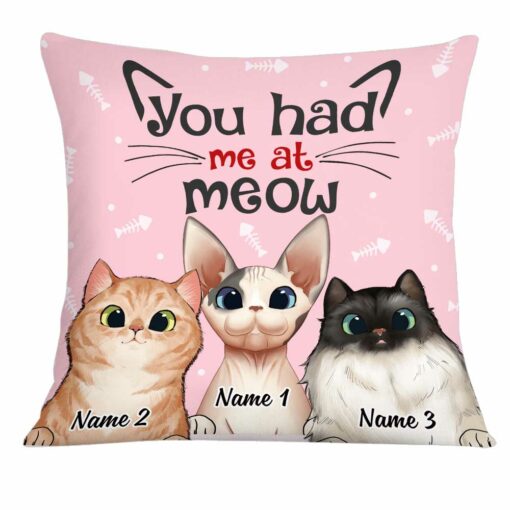 Personalized Cat Had Me At Meow Pillow