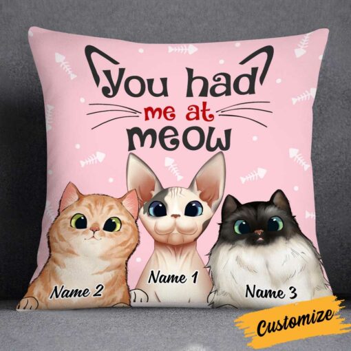 Personalized Cat Had Me At Meow Pillow