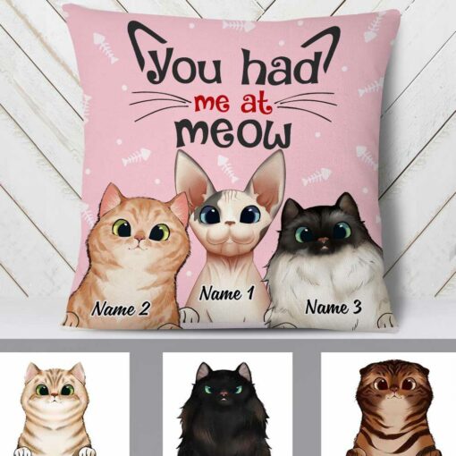 Personalized Cat Had Me At Meow Pillow