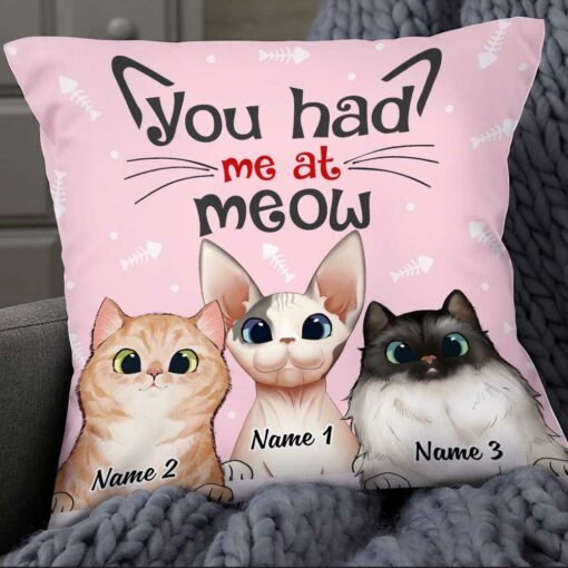 Personalized Cat Had Me At Meow Pillow