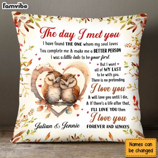 Personalized Gift For Couple Owl Couple The Day I Met You Pillow