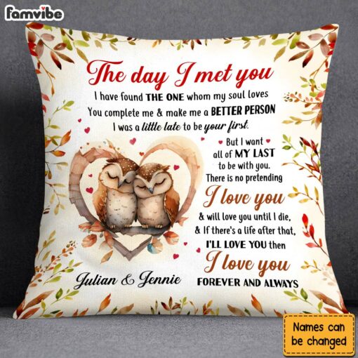 Personalized Gift For Couple Owl Couple The Day I Met You Pillow