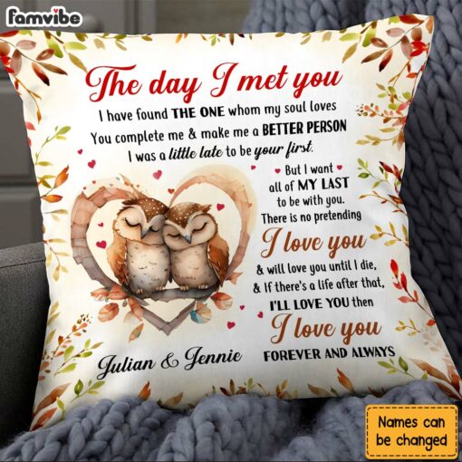 Personalized Gift For Couple Owl Couple The Day I Met You Pillow