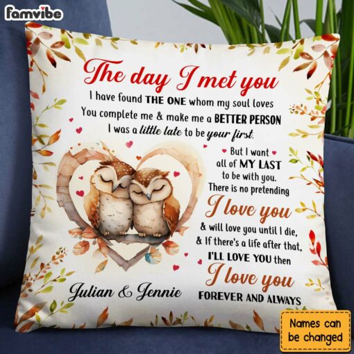 Personalized Gift For Couple Owl Couple The Day I Met You Pillow