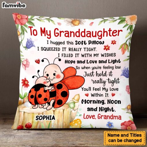 Personalized Gift For Granddaughter Hug This Lady Bug Pillow