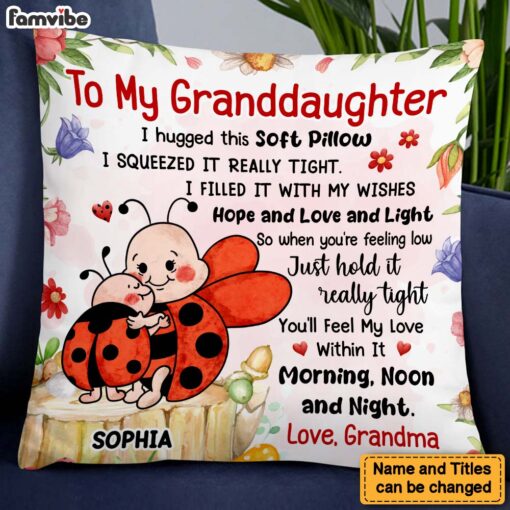 Personalized Gift For Granddaughter Hug This Lady Bug Pillow