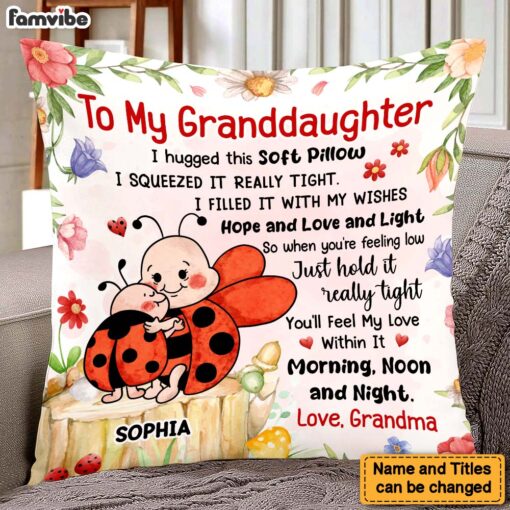 Personalized Gift For Granddaughter Hug This Lady Bug Pillow