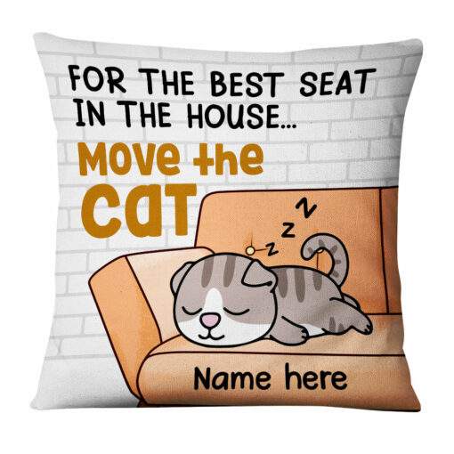 Personalized Move The Cat Pillow