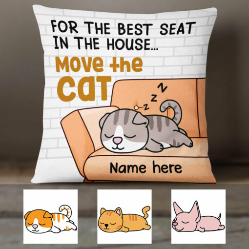 Personalized Move The Cat Pillow