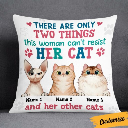 Personalized Things Cat Mom Cannot Resist Pillow