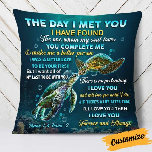 Personalized Turtle Couple The Day I Met You Pillow