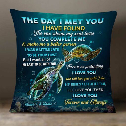 Personalized Turtle Couple The Day I Met You Pillow