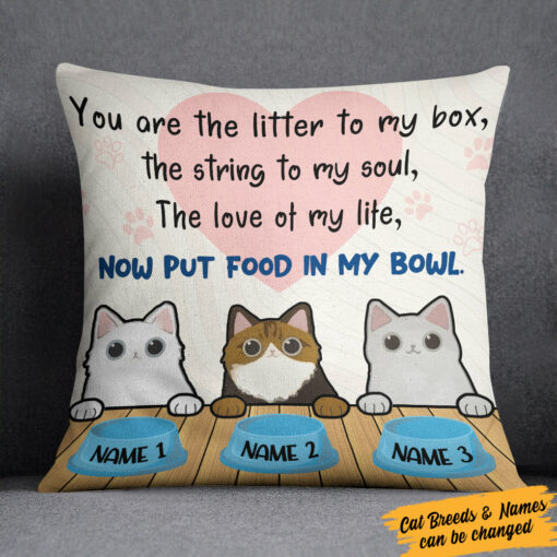 Personalized You Are Cat Pillow