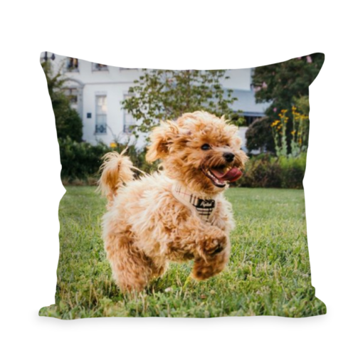 Create Your Own Custom Pet Photo Pillows  Personalized Pillow Gifts