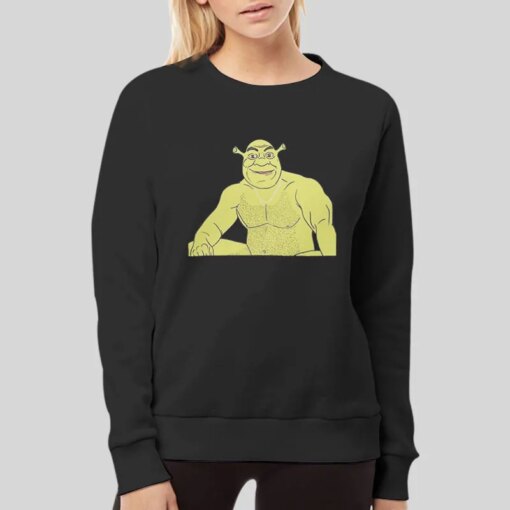 Funny S E X Y Shrek Shirt