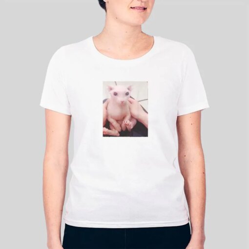 Hairless Sphinx Cat Bingus My Beloved Shirt