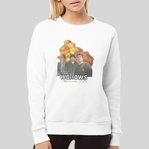 Inspired Merch Wallows Shirts