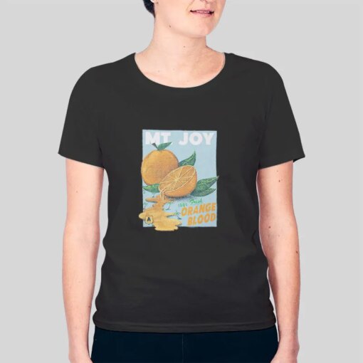 Inspired Mt Joy Merch Shirt