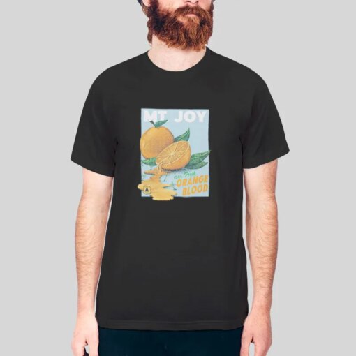 Inspired Mt Joy Merch Shirt