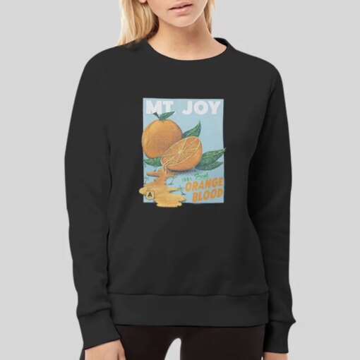 Inspired Mt Joy Merch Shirt