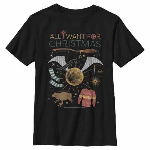 Boy_s Harry Potter All I Want for Wizard Christmas T-Shirt