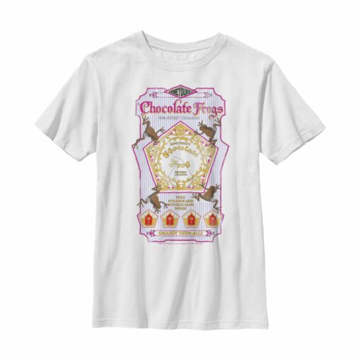 Boy_s Harry Potter Chocolate Frogs T-Shirt