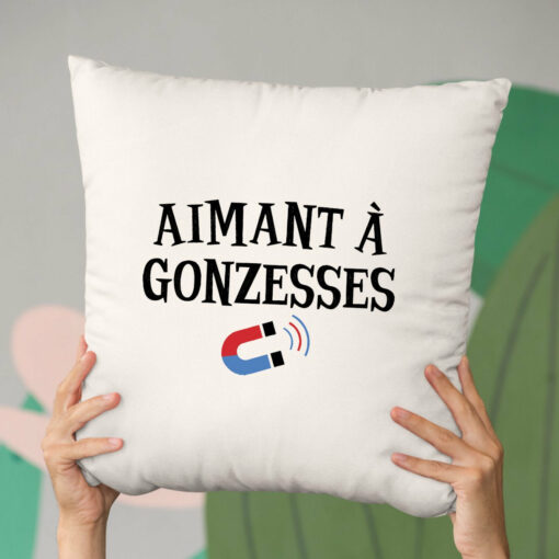 Coussin Aimant a gonzesses