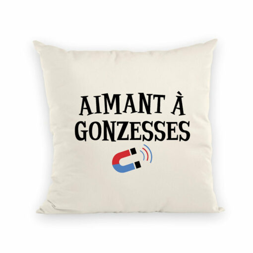 Coussin Aimant a gonzesses