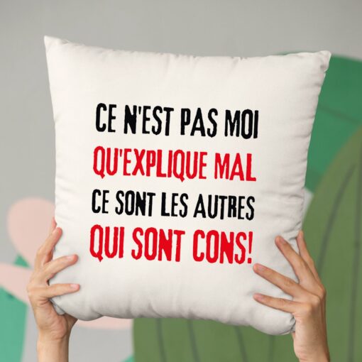 Coussin Ce n’est pas moi qui explique mal