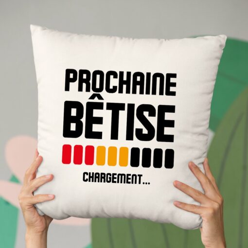 Coussin Chargement prochaine betise