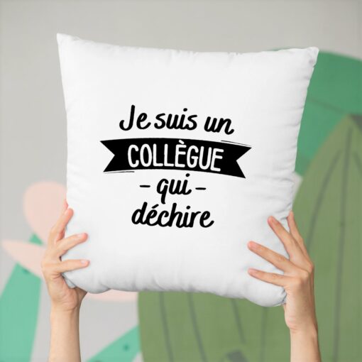 Coussin Collegue qui dechire