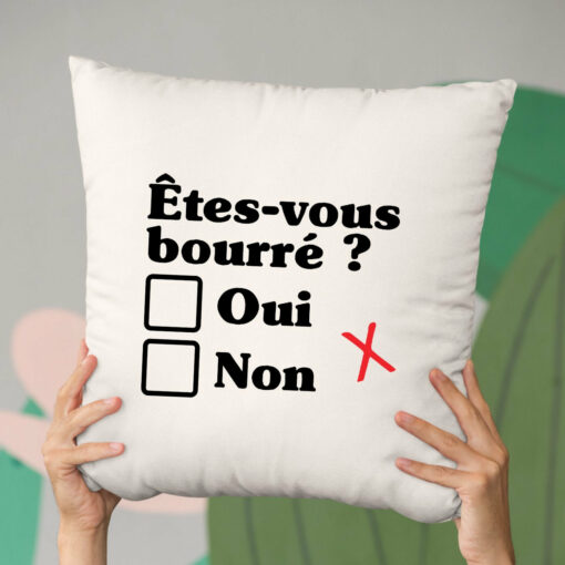 Coussin Etes-vous bourre