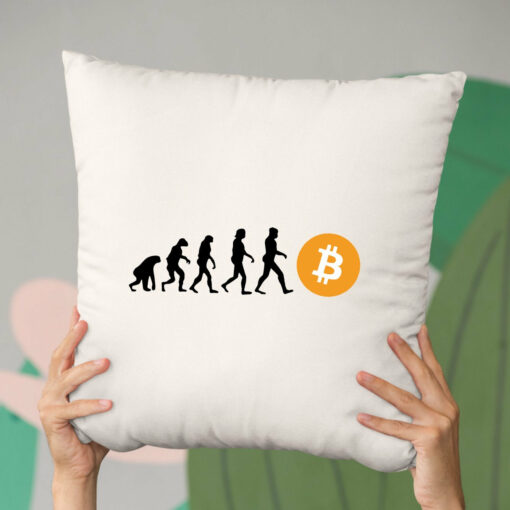 Coussin Evolution Bitcoin