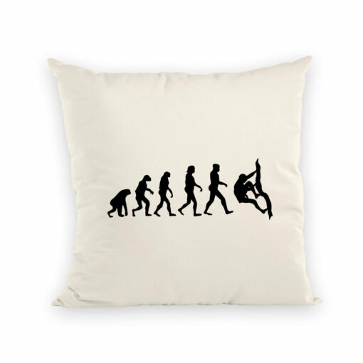 Coussin Evolution escalade